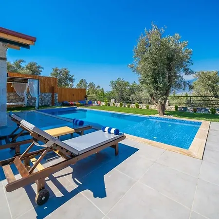 Holiday home Spacious Pool, Jacuzzi