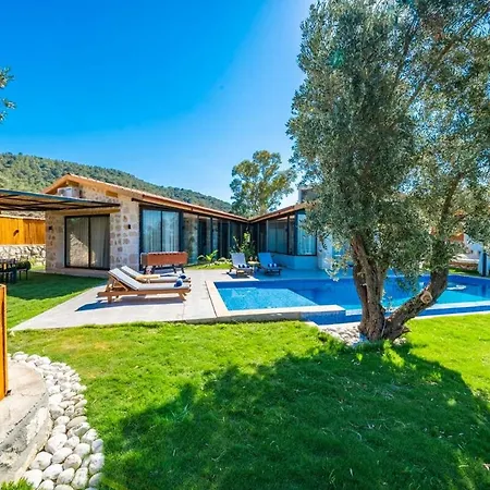 Spacious Pool, Jacuzzi Tatil Evi